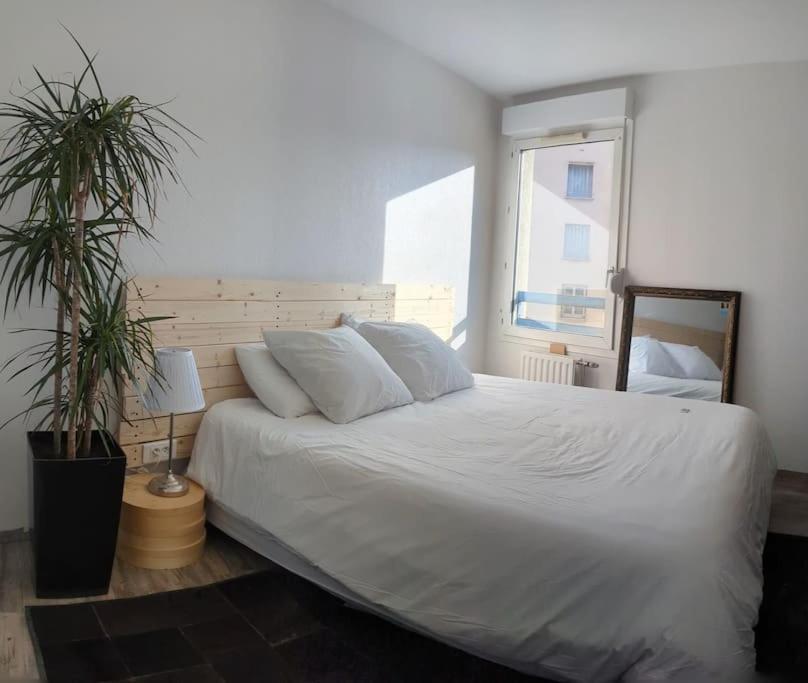 Le Cosy-Chic - T3 Balneo A Villeurbanne / Lyon Exterior foto
